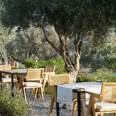 Bed & Breakfast Tulu Datca *