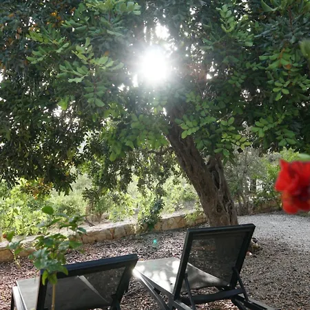 Bed & Breakfast Tulu Datca