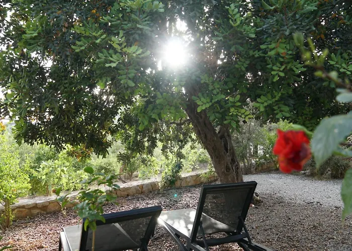 Bed & Breakfast Tulu Datca