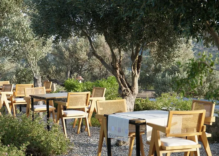 Bed & Breakfast Tulu Datca *